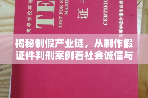 保定揭秘制假产业链，从制作假证件判刑案例看社会诚信与法律防线